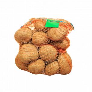 สปอร์ตบอล Stein 6 กิโลกรัม